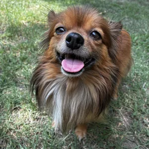 Rusty