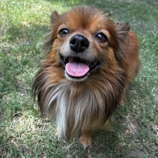 Rusty