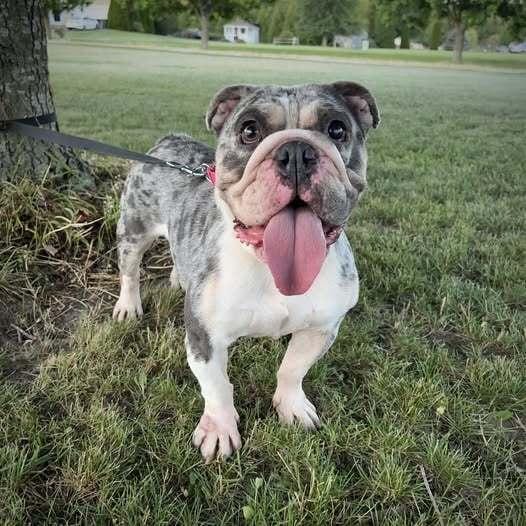 Coralee