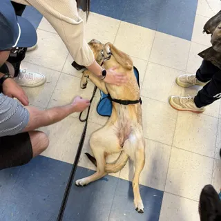 Liliana--In Foster