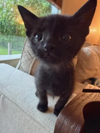 Ralph