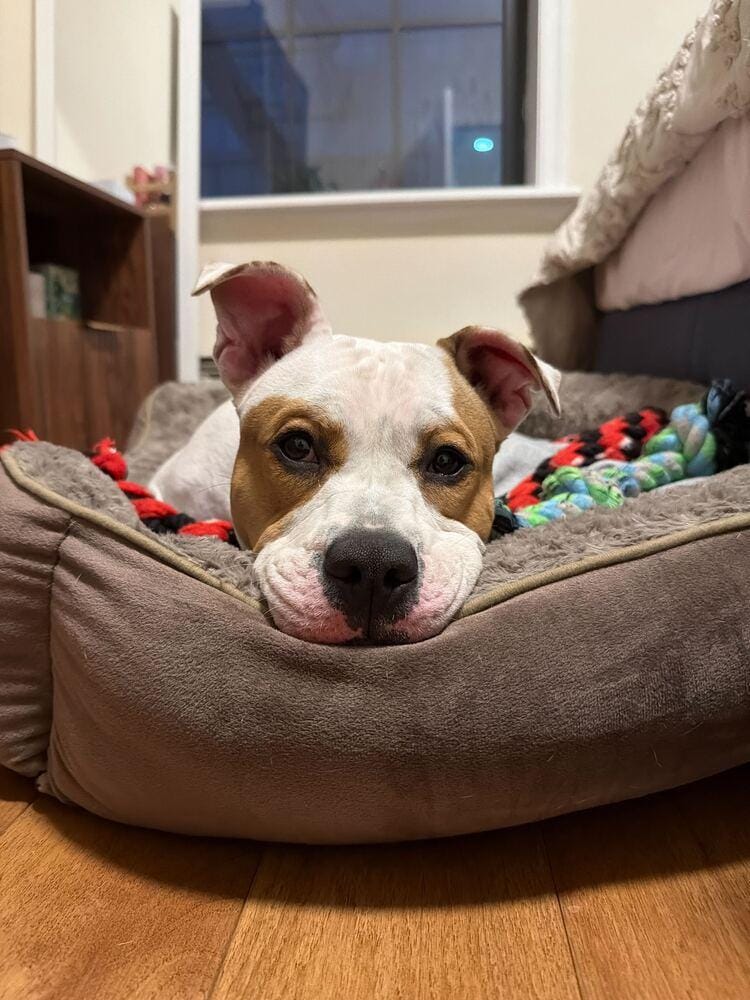Coco