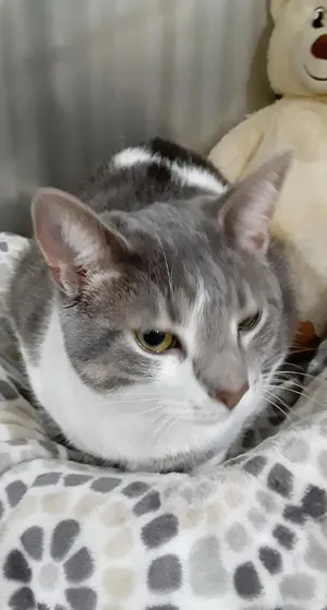 Max * IN FOSTER *