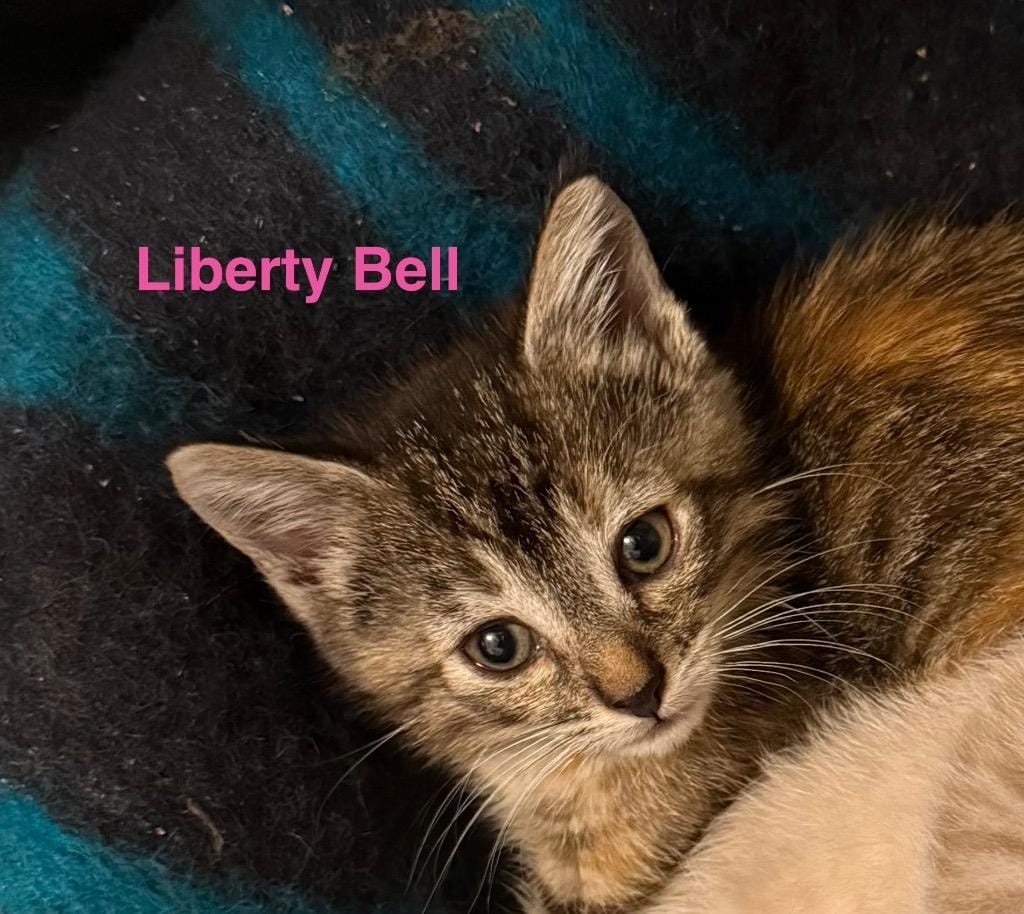 Liberty Bell