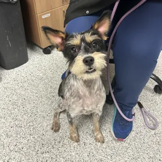 Zeke