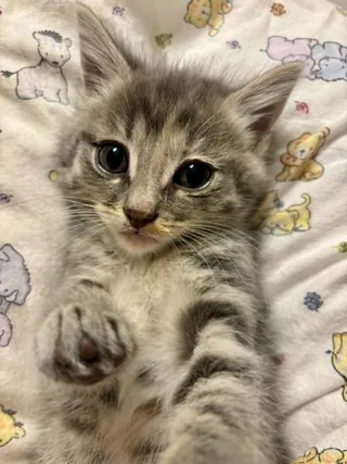 Barbara