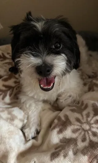 Max in TX