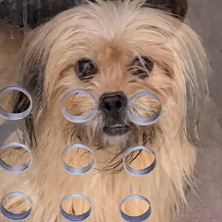 Kusama