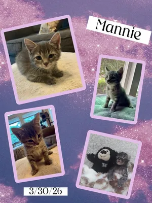 Mannie