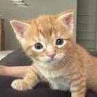 Tiny