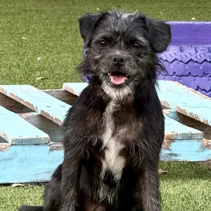Tate