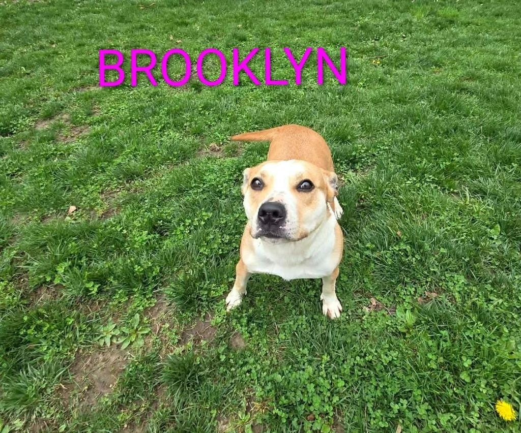 Brooklyn