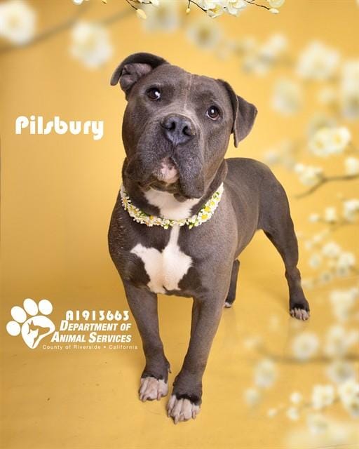 PILSBURY