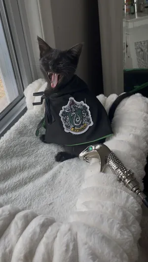 Salazara Slytherin