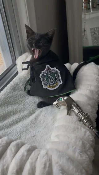 Salazara Slytherin