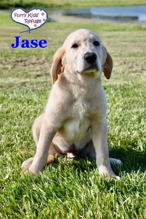 Jase