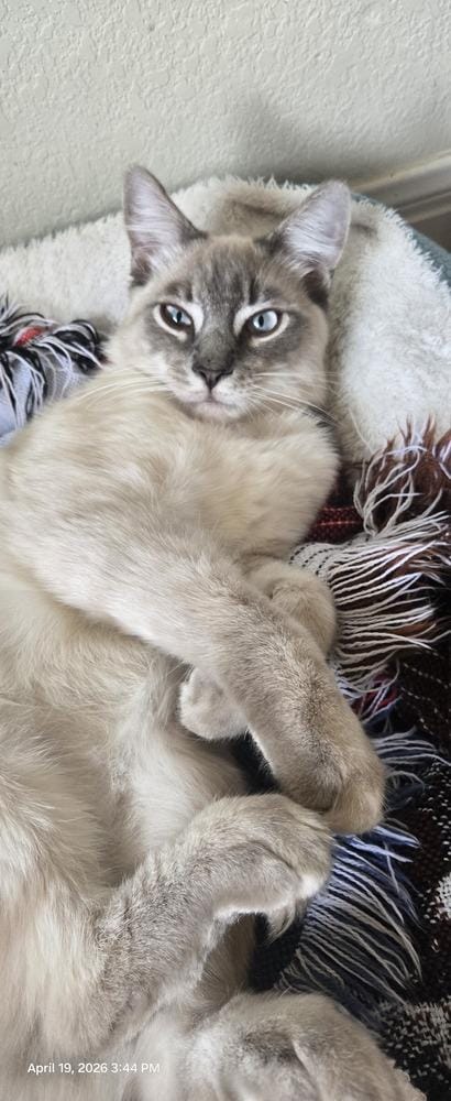 Gus 6