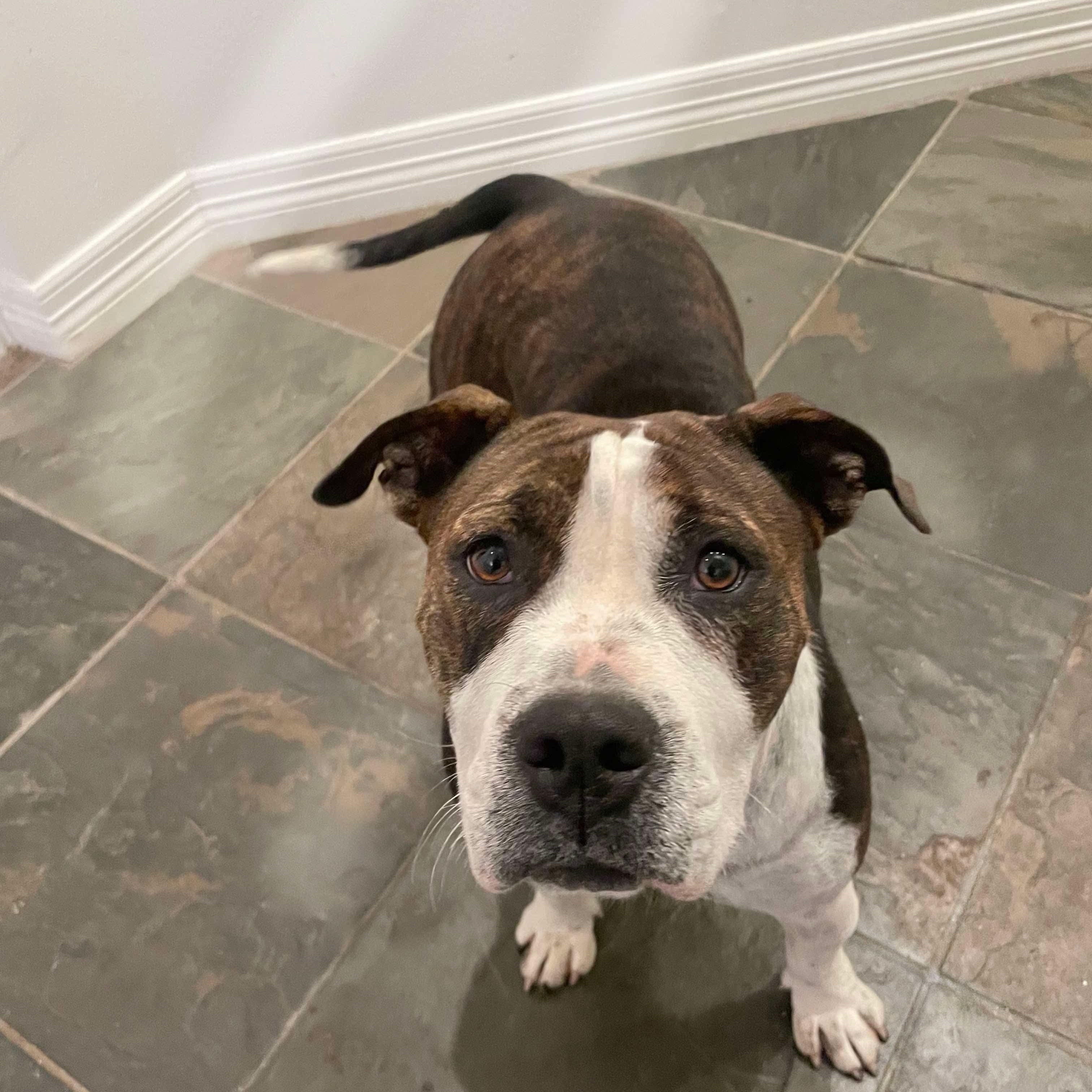 Maggie Mae