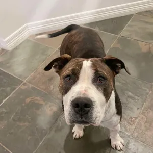 Maggie Mae