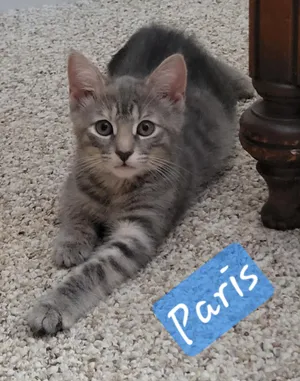 Paris