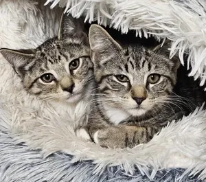 Asbury & Belmar - soooo sweet