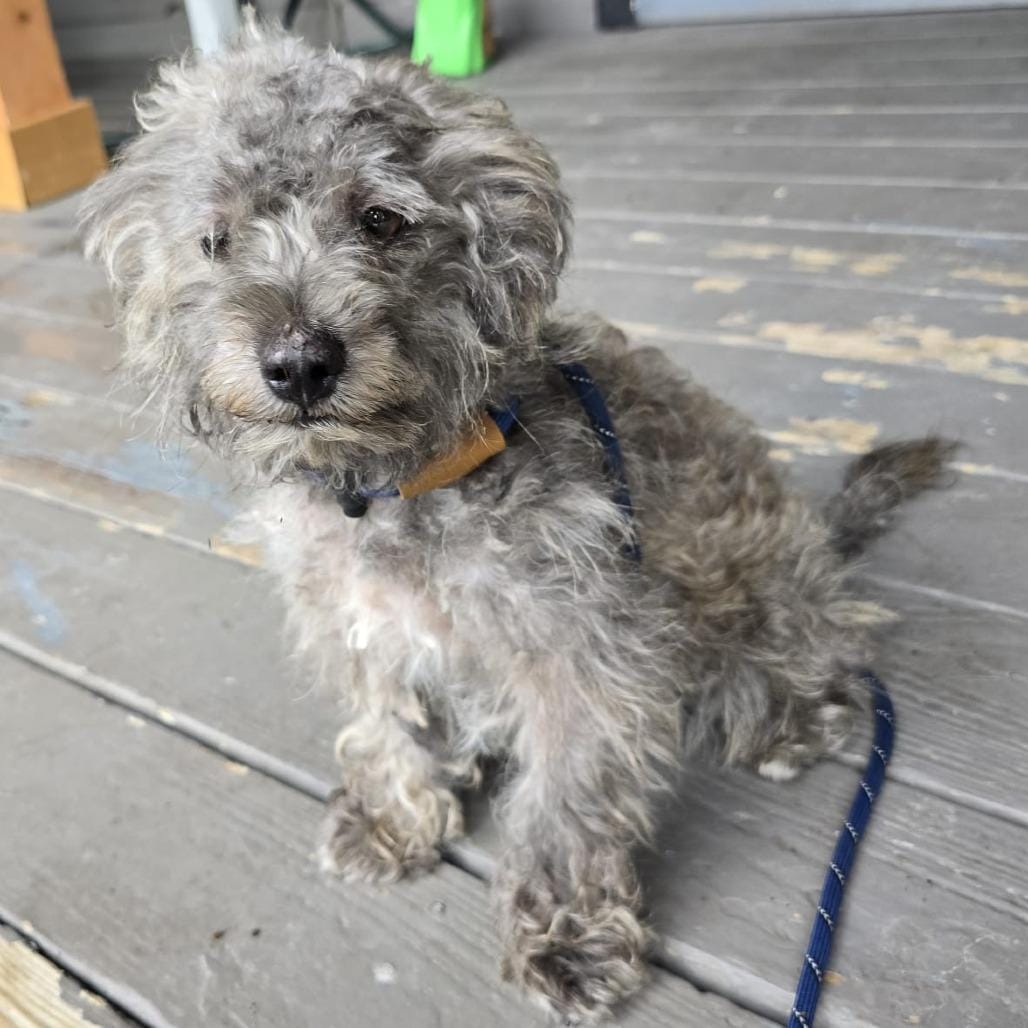 Milo