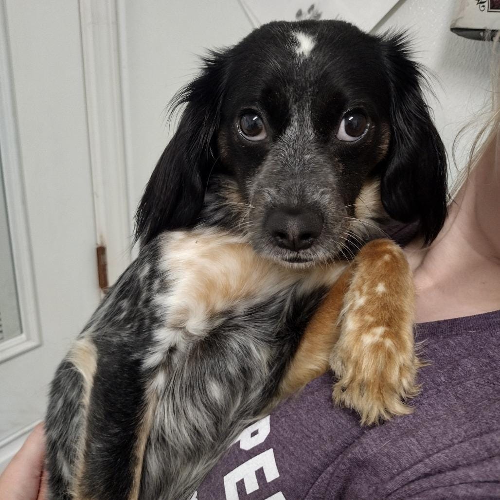 Lilah