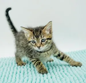 Lexie is so darn sweet and super teeny