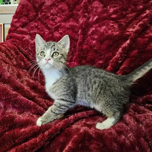 Eloise