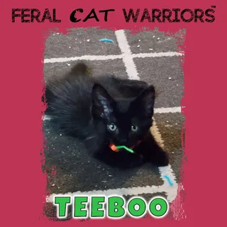 Teebo