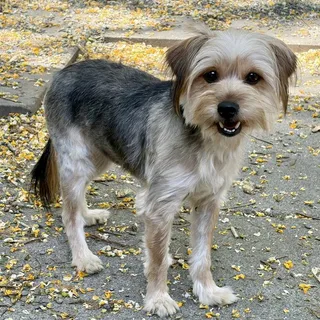 Beverly