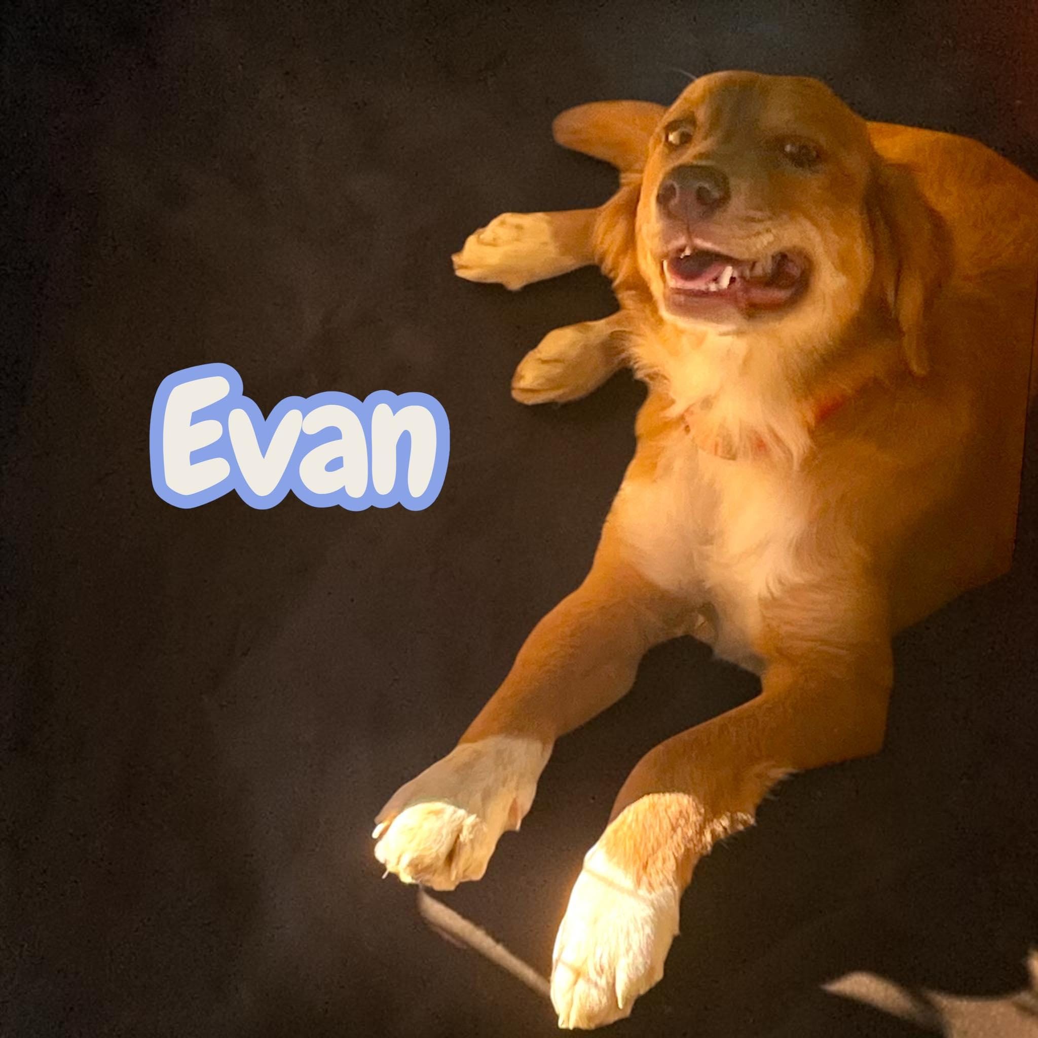 Evan