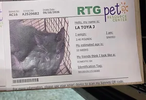 LaToya