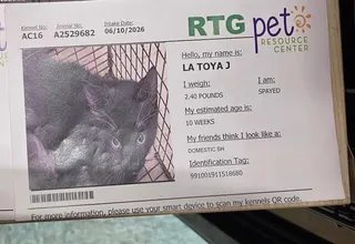 LaToya