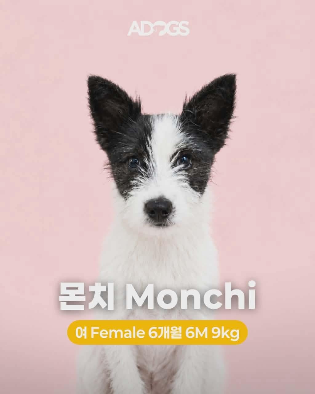 MONCHI