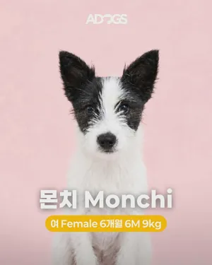 MONCHI