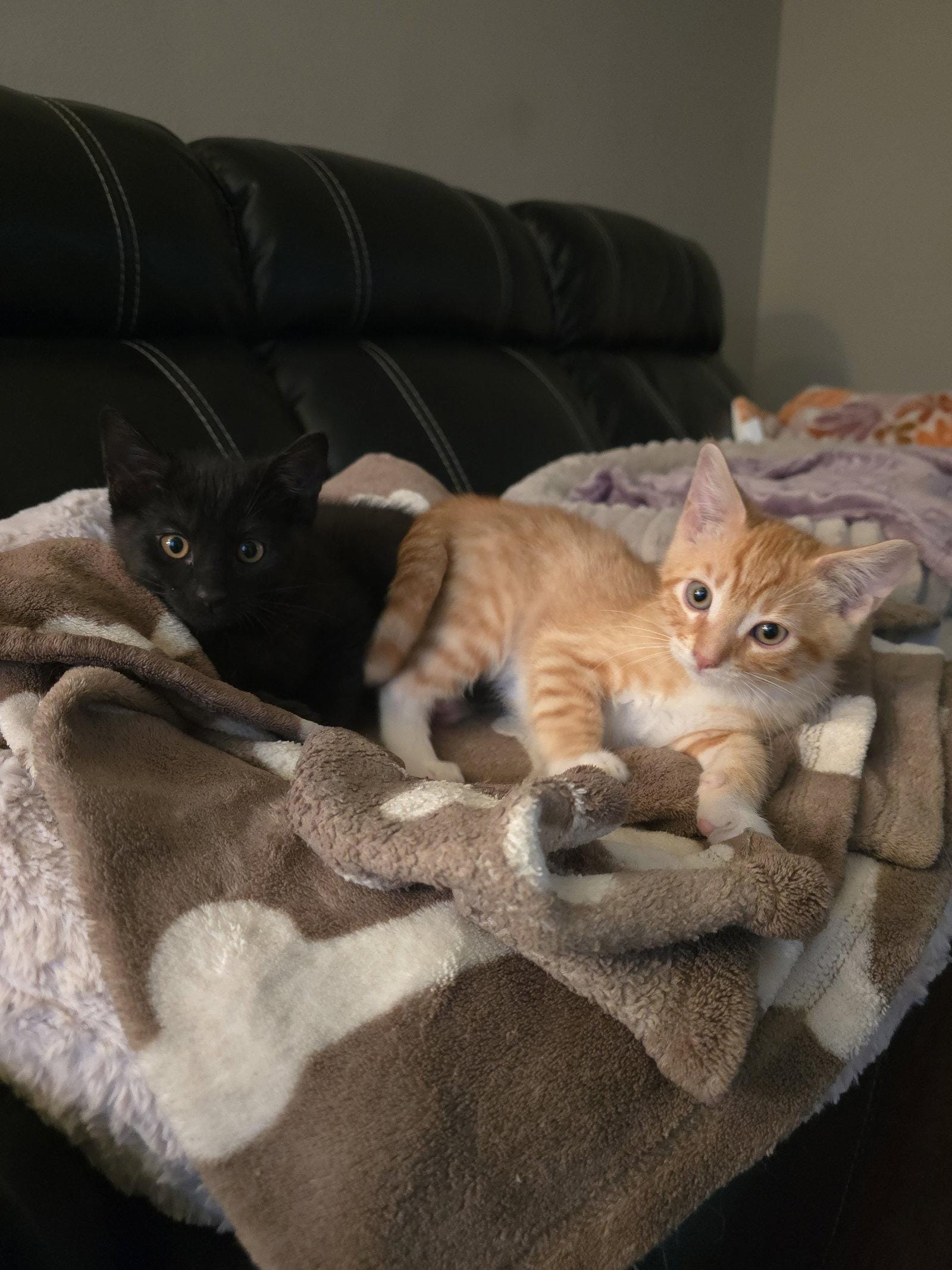 Ralphie and Wally
