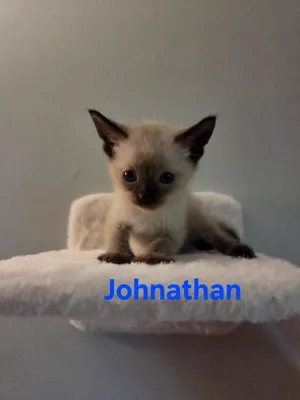 Johnathan