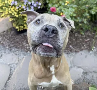Sam