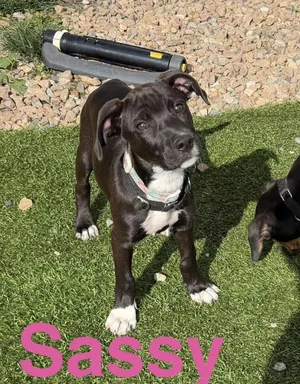 Sassy & Squirt