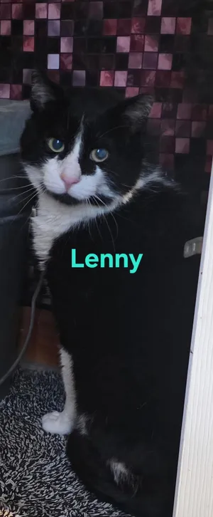 Lenny (and Gabs & Goldie)