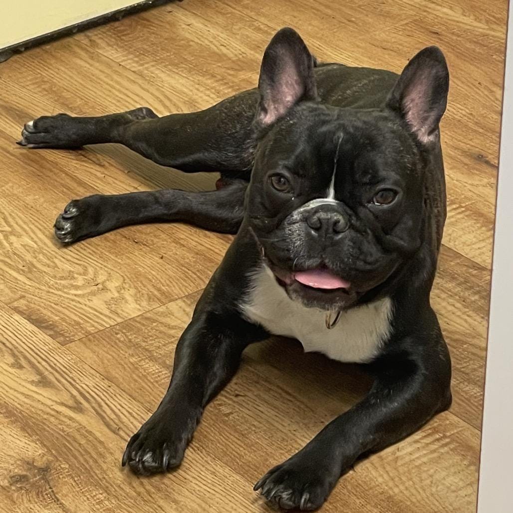 Chewy