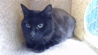SABRINA