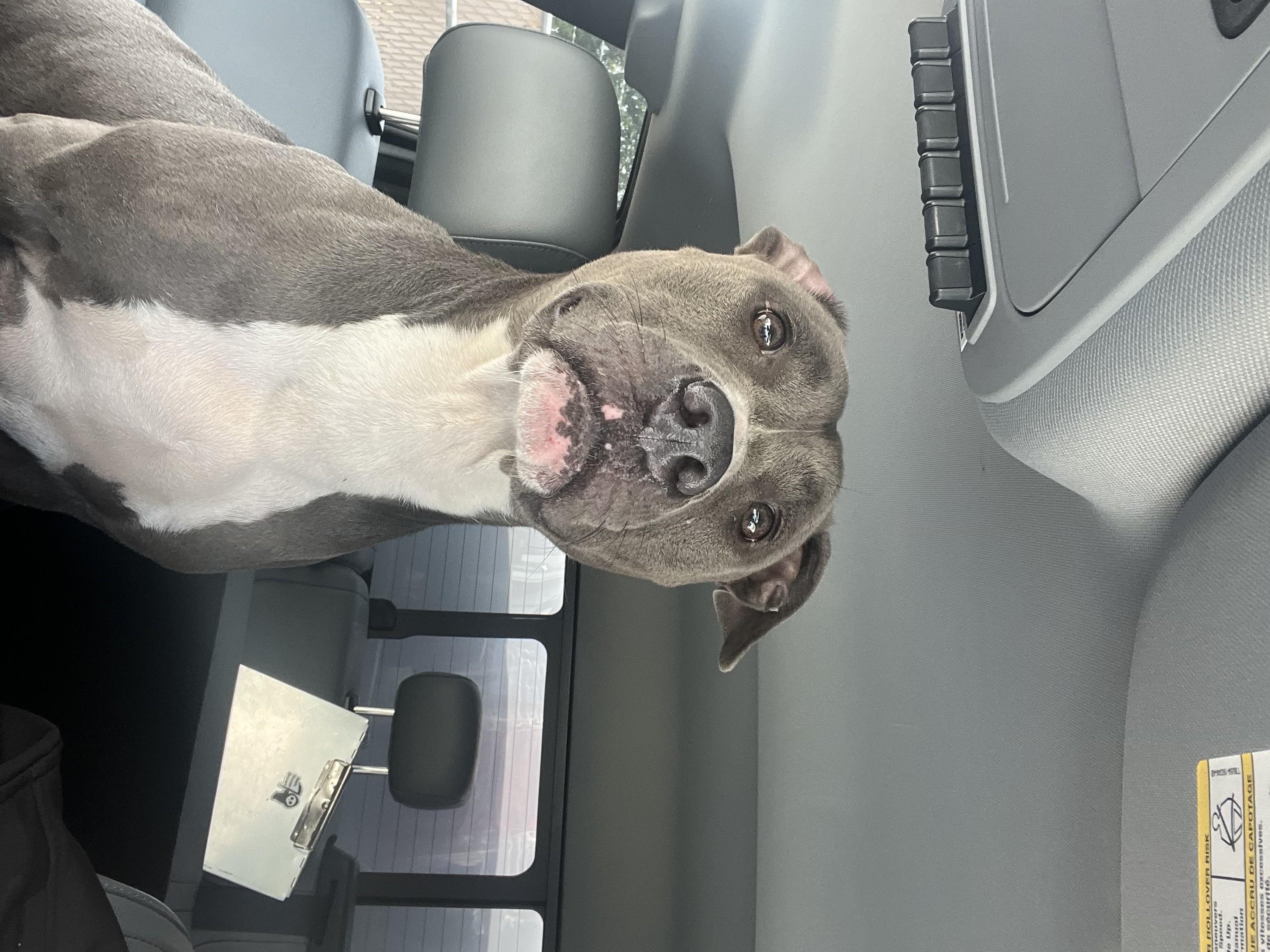 LILA