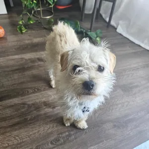 Jax