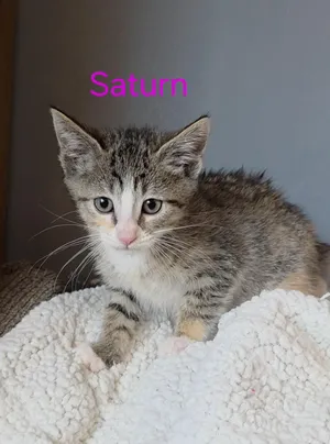 Saturn