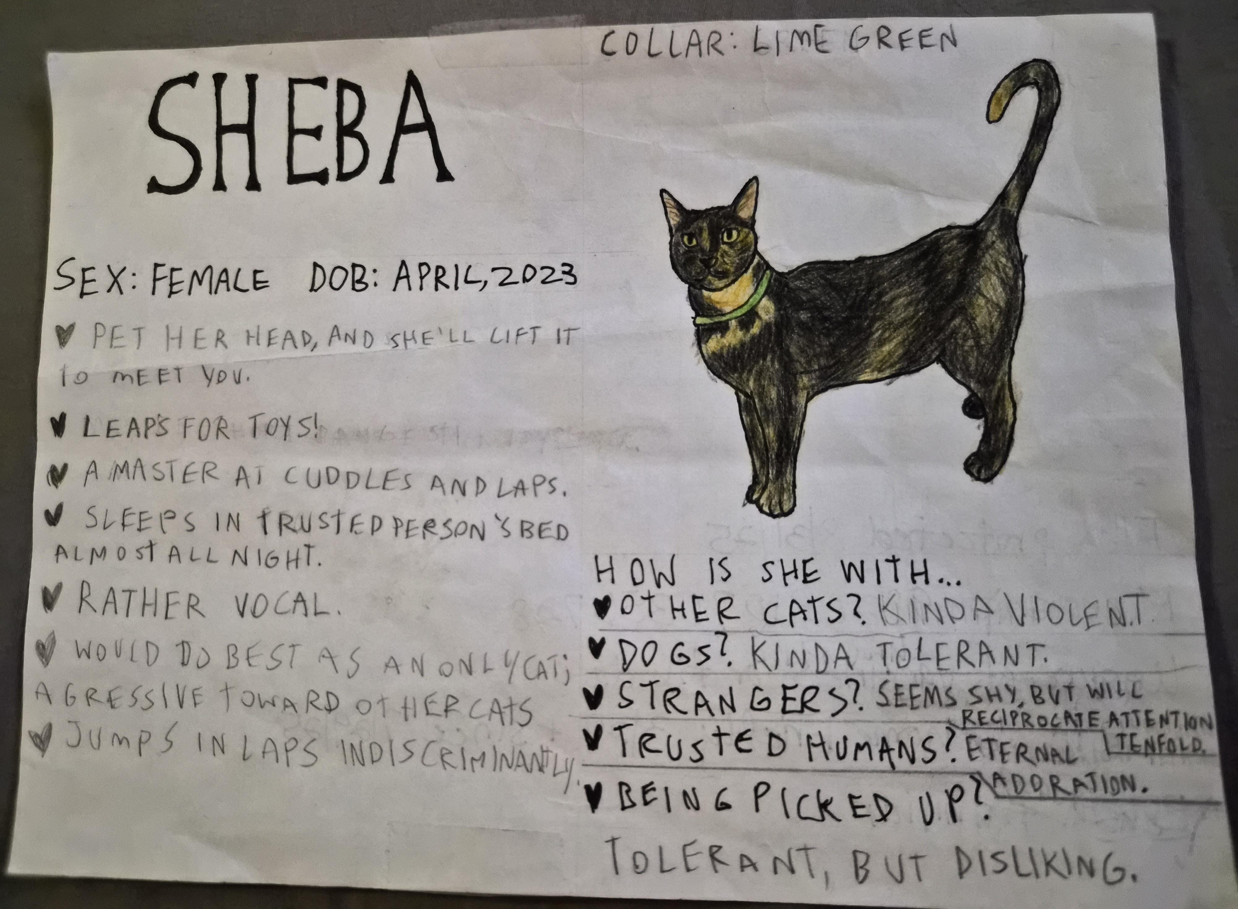 Sheba