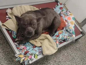 Myra