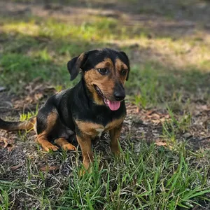 Ellie