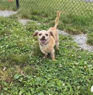 JOSIE